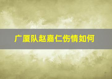 广厦队赵嘉仁伤情如何