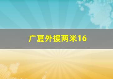 广夏外援两米16