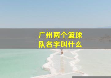 广州两个篮球队名字叫什么