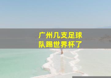 广州几支足球队踢世界杯了