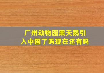 广州动物园黑天鹅引入中国了吗现在还有吗