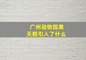 广州动物园黑天鹅引入了什么