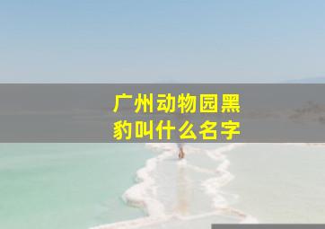 广州动物园黑豹叫什么名字