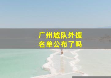 广州城队外援名单公布了吗