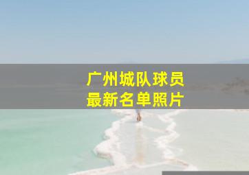 广州城队球员最新名单照片