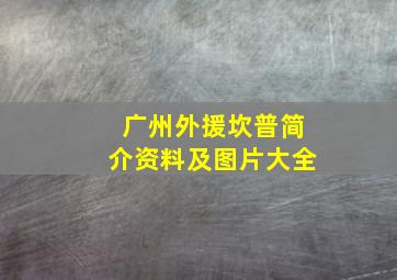 广州外援坎普简介资料及图片大全