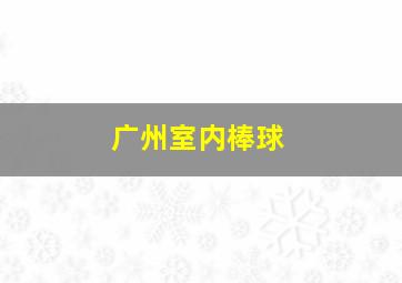 广州室内棒球