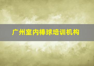 广州室内棒球培训机构