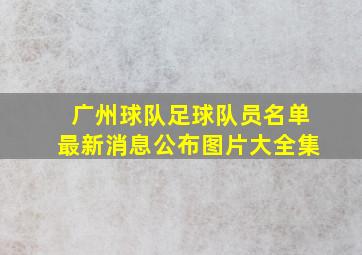 广州球队足球队员名单最新消息公布图片大全集