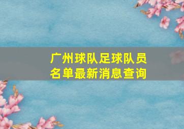 广州球队足球队员名单最新消息查询