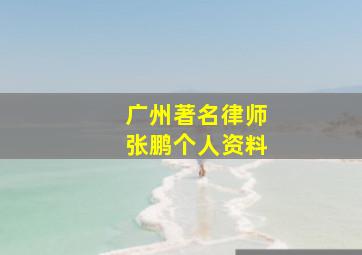 广州著名律师张鹏个人资料