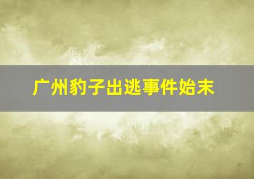 广州豹子出逃事件始末