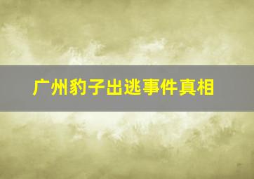 广州豹子出逃事件真相