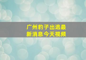 广州豹子出逃最新消息今天视频