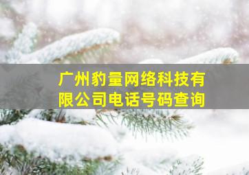 广州豹量网络科技有限公司电话号码查询