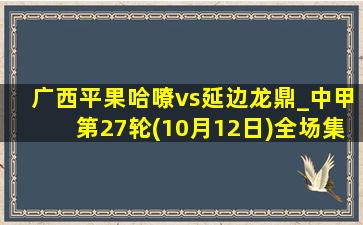 广西平果哈嘹vs延边龙鼎_中甲第27轮(10月12日)全场集锦