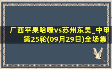 广西平果哈嘹vs苏州东吴_中甲第25轮(09月29日)全场集锦