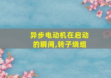 异步电动机在启动的瞬间,转子绕组