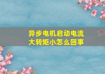 异步电机启动电流大转矩小怎么回事