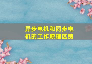 异步电机和同步电机的工作原理区别