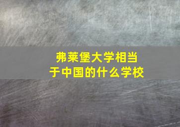 弗莱堡大学相当于中国的什么学校