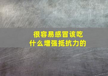 很容易感冒该吃什么增强抵抗力的