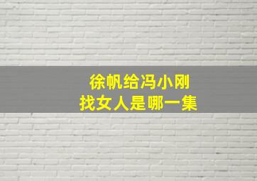 徐帆给冯小刚找女人是哪一集