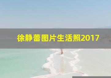 徐静蕾图片生活照2017