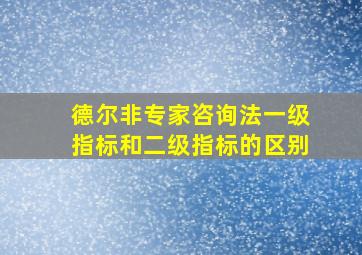 德尔非专家咨询法一级指标和二级指标的区别