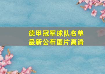 德甲冠军球队名单最新公布图片高清