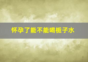 怀孕了能不能喝栀子水