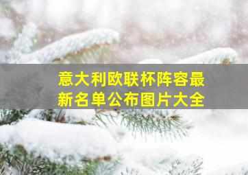 意大利欧联杯阵容最新名单公布图片大全