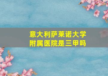 意大利萨莱诺大学附属医院是三甲吗