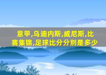 意甲,乌迪内斯,威尼斯,比赛集锦,足球比分分别是多少