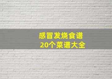 感冒发烧食谱20个菜谱大全