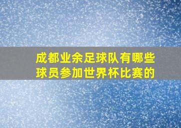 成都业余足球队有哪些球员参加世界杯比赛的