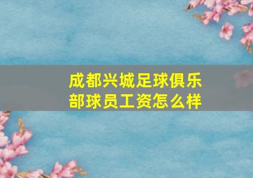 成都兴城足球俱乐部球员工资怎么样