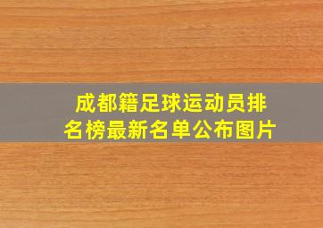 成都籍足球运动员排名榜最新名单公布图片