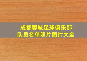 成都蓉城足球俱乐部队员名单照片图片大全