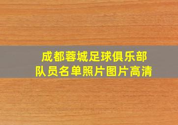 成都蓉城足球俱乐部队员名单照片图片高清