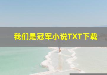 我们是冠军小说TXT下载