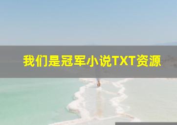 我们是冠军小说TXT资源