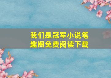 我们是冠军小说笔趣阁免费阅读下载