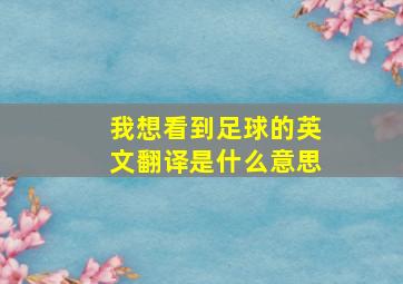 我想看到足球的英文翻译是什么意思