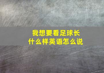 我想要看足球长什么样英语怎么说