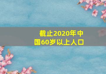 截止2020年中国60岁以上人口