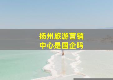 扬州旅游营销中心是国企吗