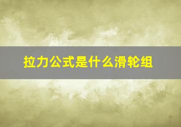 拉力公式是什么滑轮组