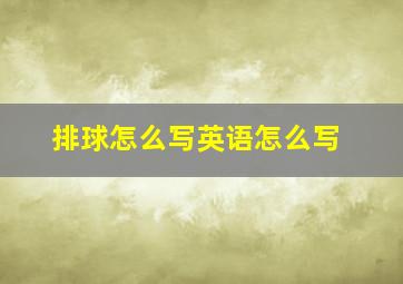 排球怎么写英语怎么写