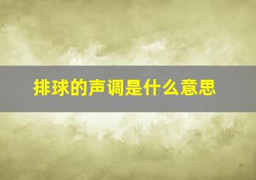 排球的声调是什么意思